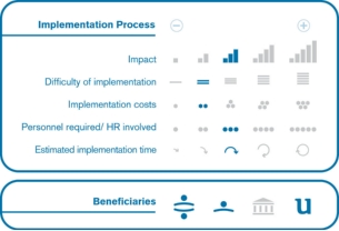 Implementation process