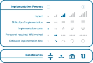 Implementation process
