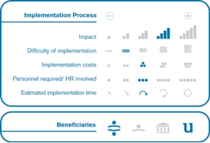 Implementation process