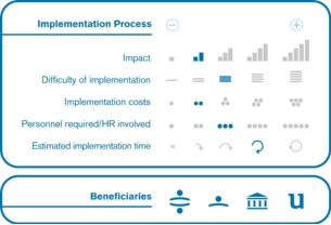 Implementation process
