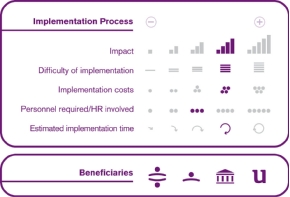 Implementation process