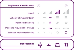 Implementation process