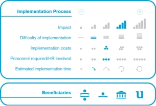 Implementation process