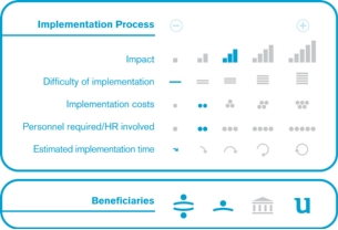 Implementation process