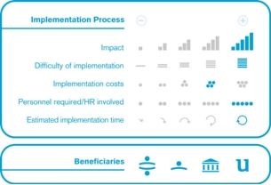Implementation process