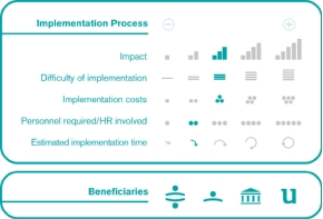 Implementation process