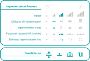 Implementation process
