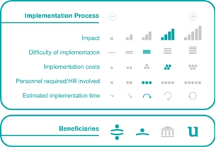 Implementation process