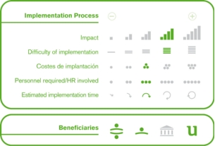 Implementation process
