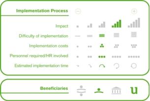 Implementation process