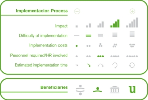 Implementation process
