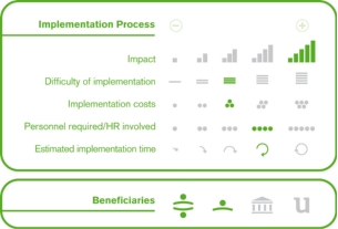 Implementation process