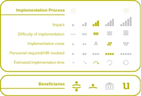 Implementation process