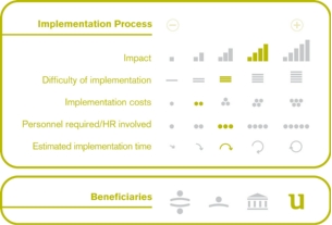 Implementation process