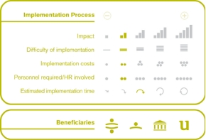 Implementation process