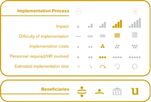 Implementation process