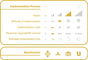 Implementation process