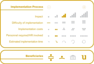 Implementation process