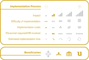 Implementation process