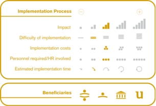 Implementation process