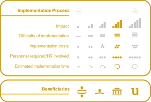 Implementation process