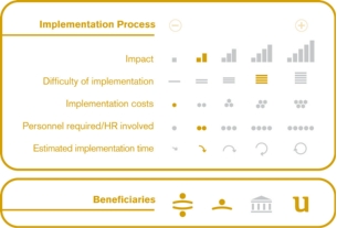 Implementation process