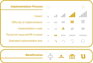 Implementation process