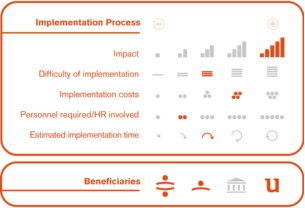 Implementation process