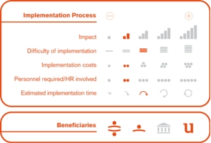 Implementation process