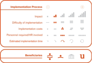 Implementation process
