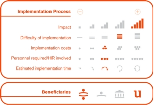 Implementation process