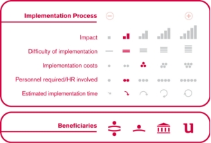 Implementation process
