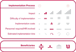 Implementation process