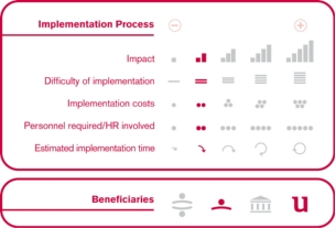 Implementation process