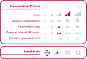 Implementation process