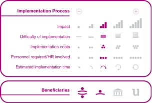 Implementation process