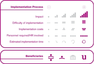 Implementation process