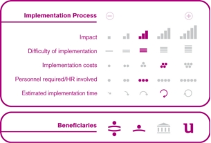 Implementation process