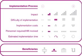 Implementation process