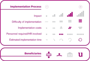 Implementation process