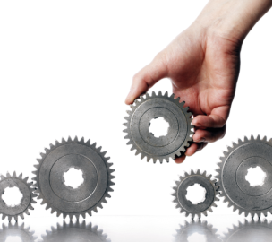 Production and commercialisation processes