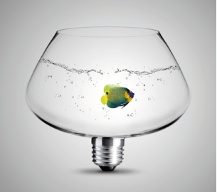 The management of intellectual property protection